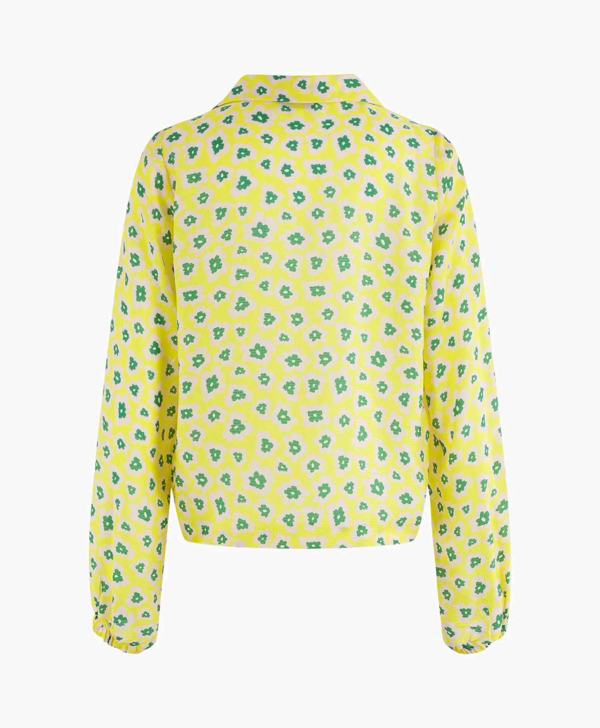 Anna Van Toor Blouse 43A05-03377 Licht Groen