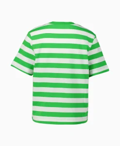 Selected Femme T-Shirt Korte Mouw Essential Ss Striped Boxy Tee N Groen